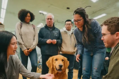 Decoding Dog Body Language