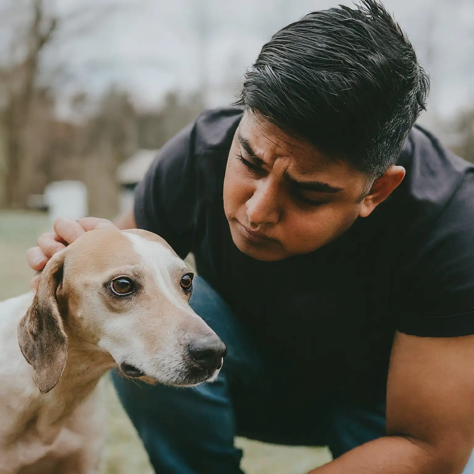 Early Signs of Illness in Dogs